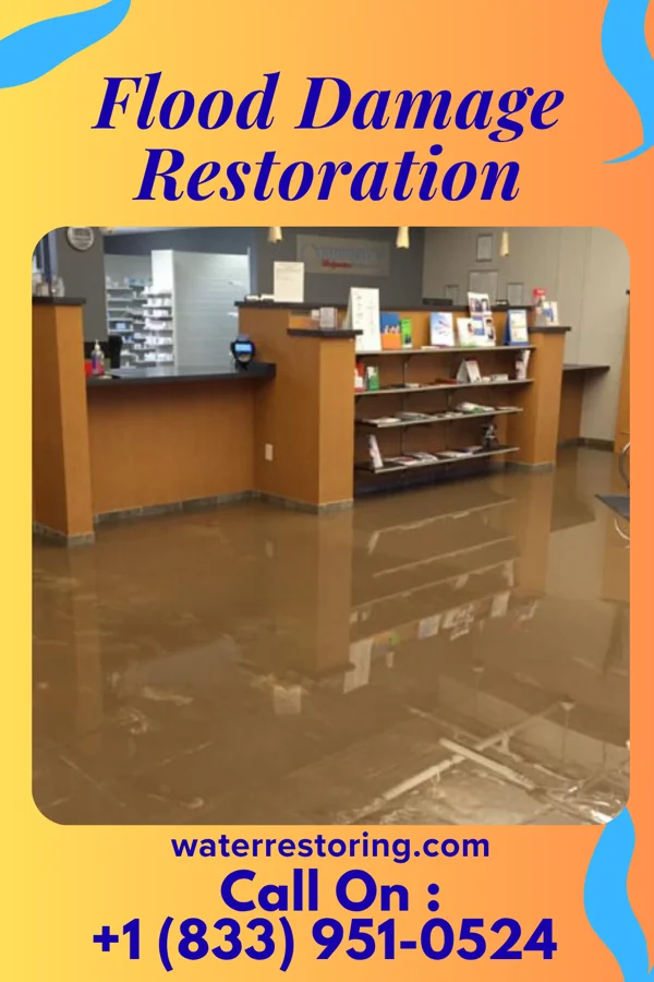 Flood Damage Restoration in Seneca, SC