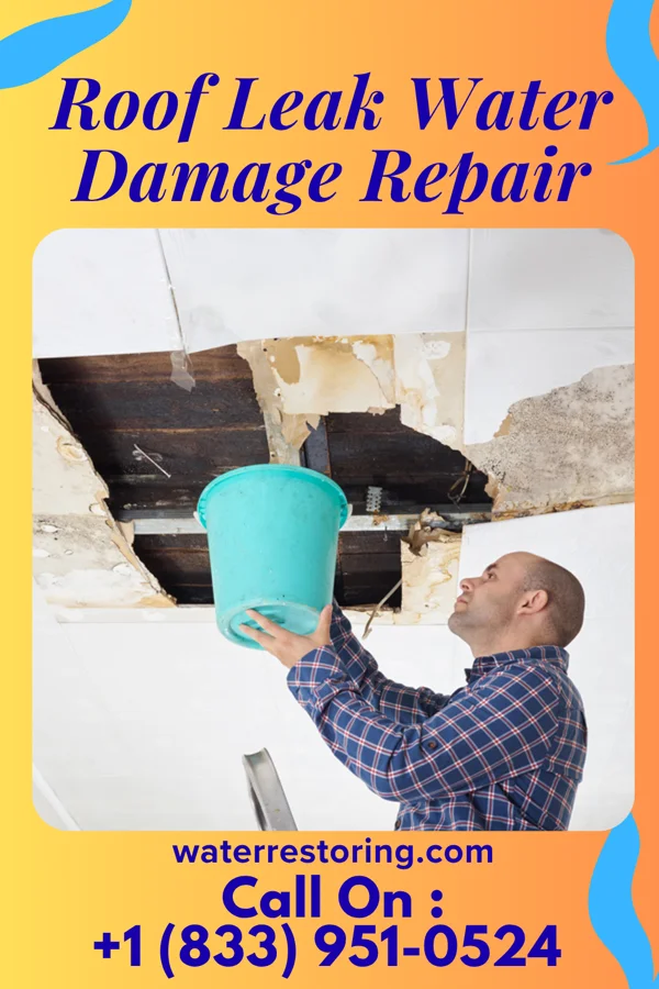 Roof Leak Water Damage Repair in Seneca, SC