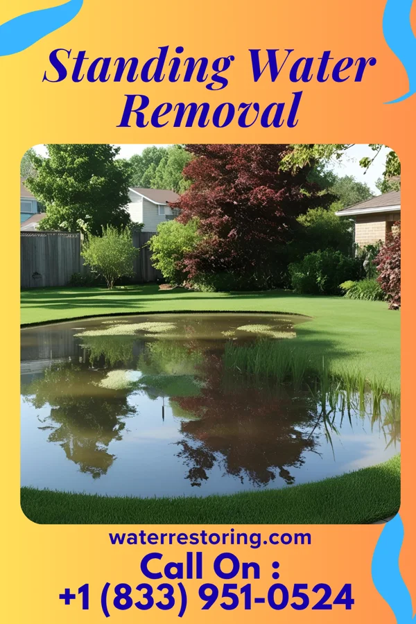 Standing Water Removal in Seneca, SC